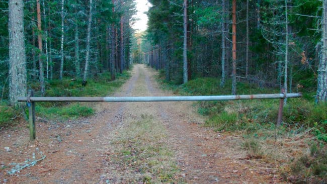 Förutom förstörda lås till vägbommar har ytterligare sabotageaktioner utförts av jaktsabotörer för att hindra licensjakten på varg i Kölstareviet, norr om Köping. (Arkivbild)