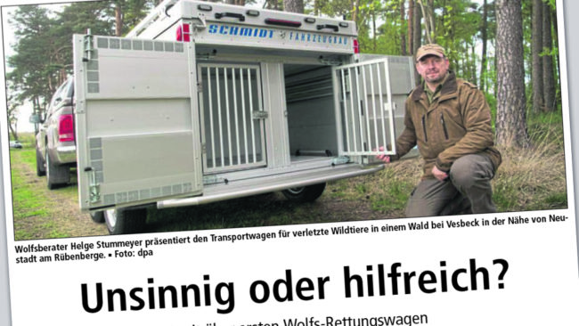 Tyskland har en speciell vargambulans främst för trafikskadade vargar. Urklippet är från Allegemeine Zeitung som intervjuat vargräddaren Helge Stummeyer.