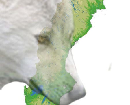 Planerna konkretiseras. Nu finns olika f&ouml;rslag p&aring; hur varg med &ouml;stligt ursprung&nbsp;ska planteras in i Mellansverige.