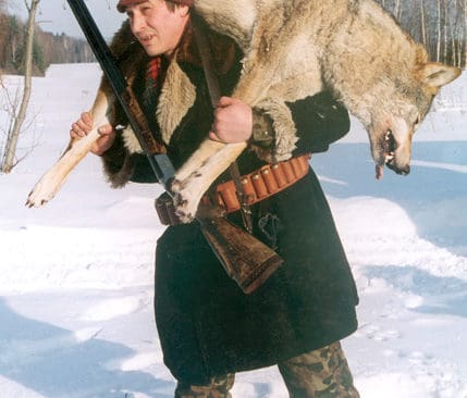 Rysk vargjägare i Kirov. Det går att resa till Ryssland för att lära sig jaga varg med hjälp av bland annat lapptyg. Både lapptyg och snaror finns i beredskap på Viltskadecenter för att stoppa problemvargar i Sverige.