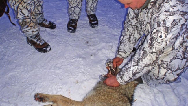 Många norska rovdjursjägare är upprörda och oroliga över att deras namn har offentliggjorts och publicerats i tidningar. (arkivbild)