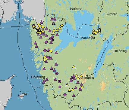 Missvisande karta. Detta &auml;r alla vargobservationer mellan 1 april och 11 november i &aring;r i V&auml;stra G&ouml;taland. &Auml;nd&aring; rapporterar m&auml;nniskor inte alla vargobservationer de g&ouml;r.