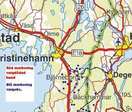 Kartan visar vargläget söder om Kristinehamn med röda markeringar för dödade hundar och blåa för observerade vargar.