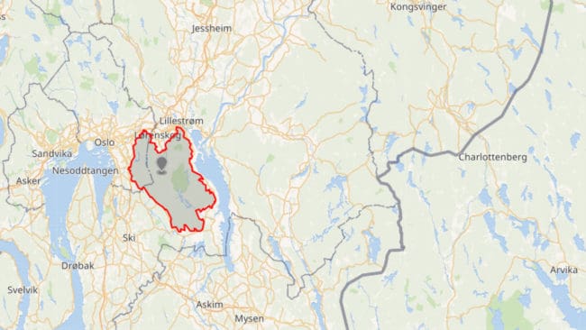 I Östmarkareviret strax utanför Oslo har det i år fötts minst två valpar.