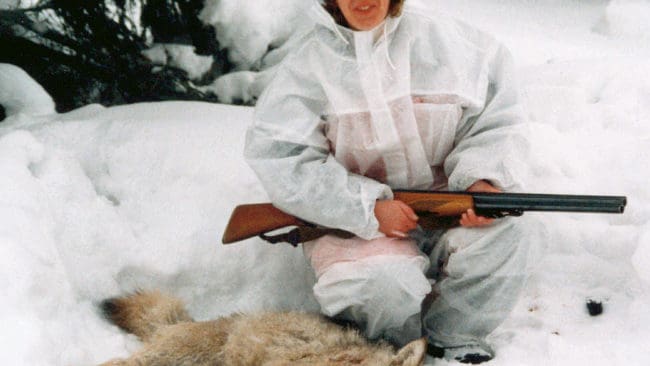 En av Rysslands cirka 45 000 vargar, fälld av Jägarnas Riksförbunds Gunilla Allansson. Vandringsvargar från Ryssland är ett problem i Estland, där 50 vargar ska fällas.