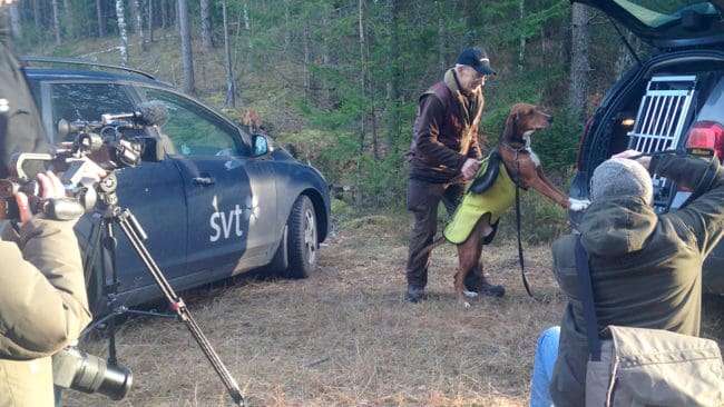 De allra flesta som köpt en skyddsväst till sin jakthund i Örebro län är nöjda med västen, visar en rapport från länsstyrelsen.