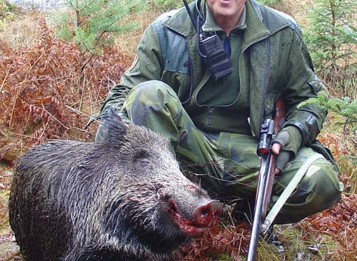 Vildsvinsjakten blir allt större i Sverige och därmed växer även behovet av bra eftersöksekipage som klarar vildsvin. Här är det Sivert Borup från Södertälje som fällt ett vildsvin.