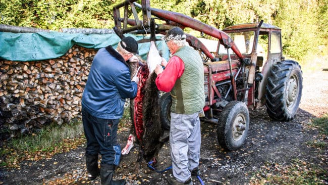 EU-myndigheten för livsmedelssäkerhet kräver att minst 67 procent av EU-ländernas vildsvin skjuts bort för att stoppa spridningen av svinpest. Det kan även bli utfodring som ger kemisk kastrering och reglering av enskildas slakthantering.