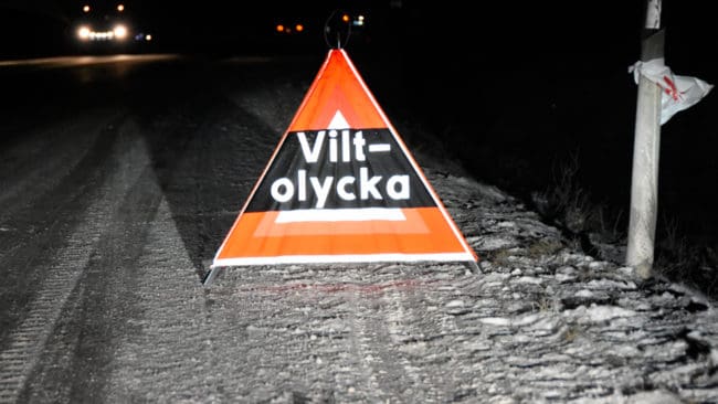 Norrlandslänen har hat många viltolyckor under måndagen, men både renar och vilt ingår i rapporteringen