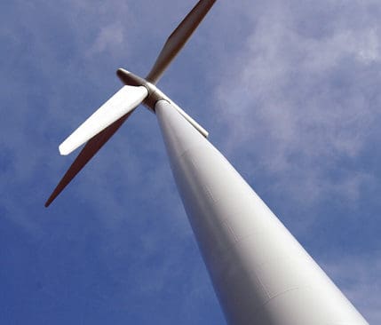 JRF-Piteå befarar att vindkraftverken bland annat förstör tjädrarnas spelplatser.