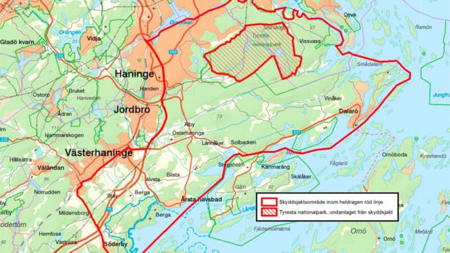 Området för skyddsjakten på Södertörnsvargen har även blivit jaktmark för vargfantaster. I sökandet efter vargjägare har vanliga bilister stoppats och frågats ut vad de gör i området. Även skyttar på en skjutbana har konfronterats av vargaktivisterna.
