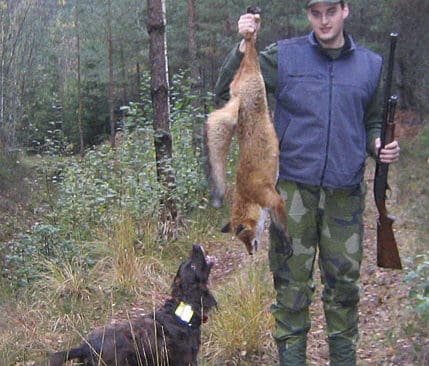 Fredrik Johansson sköt en rävtik tack vare wachteln Jäger.