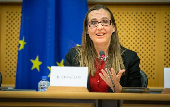 Bodil Valero, europaparlamentariker för Miljöpartiet, svarar på kritiken mot att hon vill ha ännu hårdare vapenlagar i EU-länderna, än vad EU-kommissionen föreslår och den svenska regeringen jobbar för.