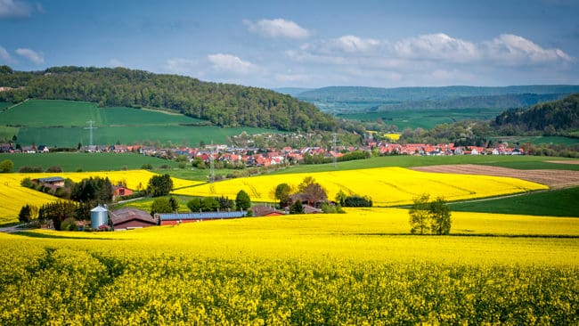 I tyska Weserbergland vill politikerna inte ha varg, eftersom de befaras hota turism, lantbruk och säkerheten för invånarna.