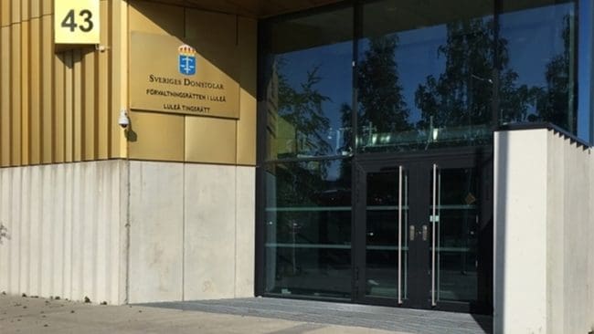 Domen innebär att en varg får avlivas i reviret där en rad angrepp mot får har skett.