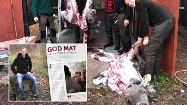 Nya erfarenheter och ett rejält bidrag till frysen blev resultatet av den första älgjakten för Peter Kaijser.