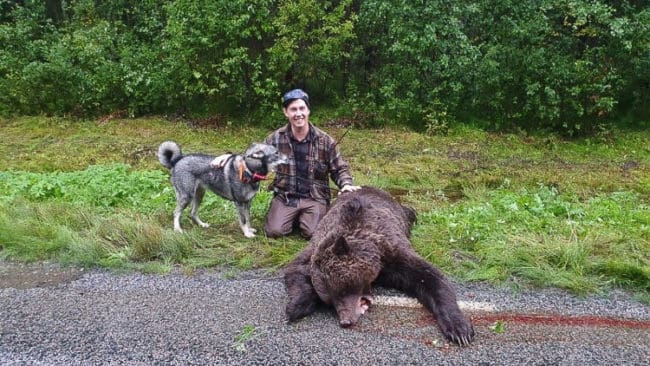 Simon Häggström och jämthundstiken Lilly fick en riktigt lyckad björnjaktspremiär.