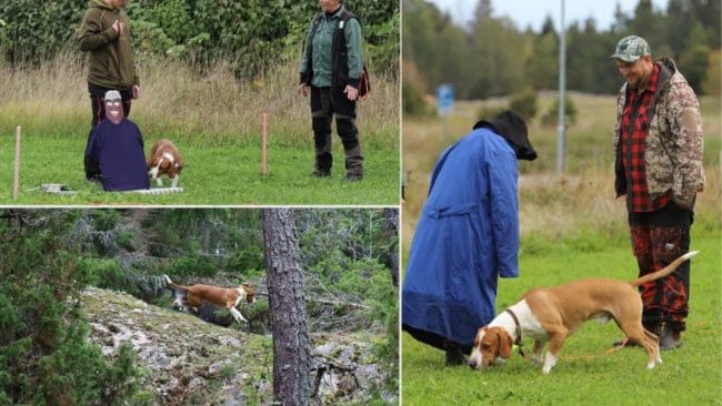 Theodor Johansson och Lia konfronterar plötsligt upphoppande gubbe i BPH medan nästa öga mot öga möte sker i hägnet. John Säljgård och Oden kollar av skum typ i BPH.