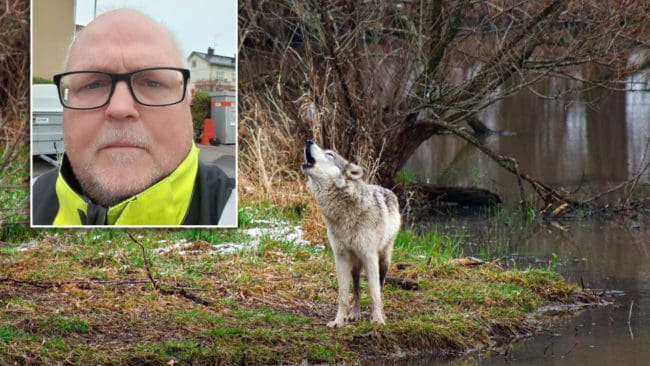 Benneth Thyr är ordförande inystartade Landsbygdspartiet oberoende Söderhamn.